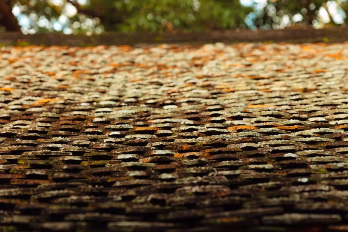 Aging shingle roof with moss growth and granule loss in Little Rock, AR
